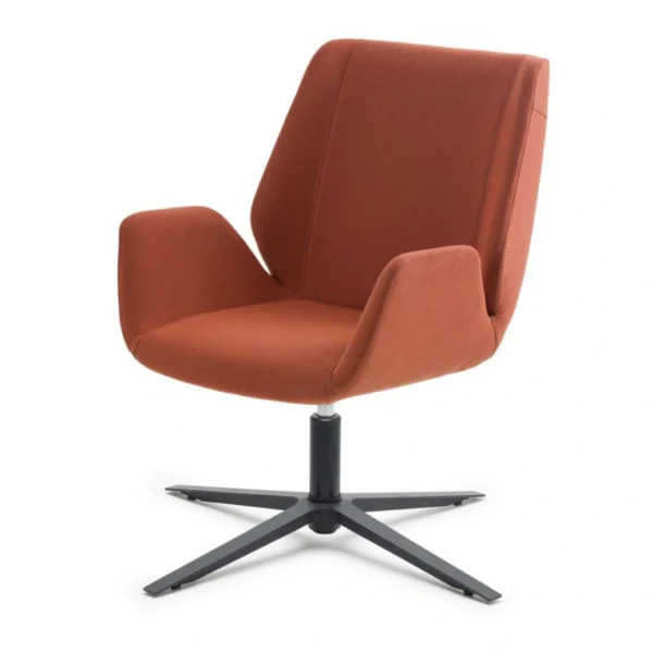 Açıdan çekim; zarif kolları ve yuvarlatılmış hatlarıyla Ares misafir koltuğu.